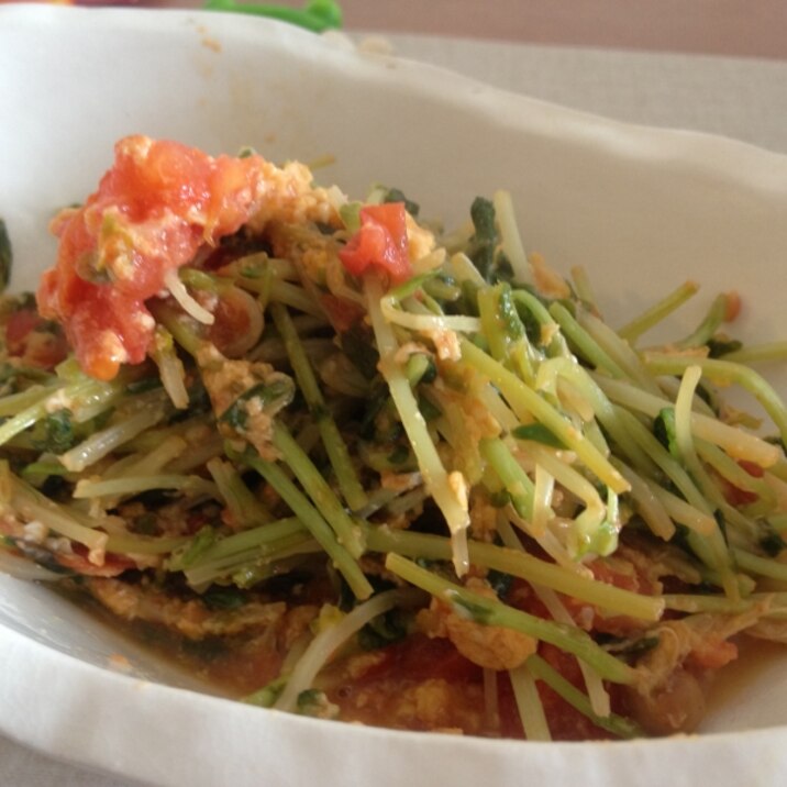 楽メシ!豆苗でトマトチャンプルー